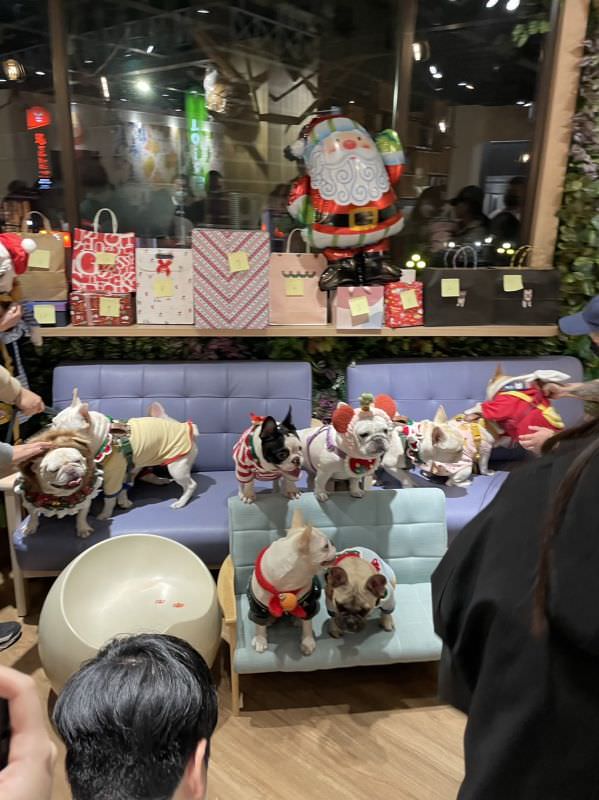 森林小徑大墩店对宠物超友善