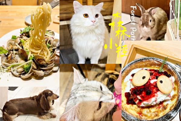 森林小徑大墩店对宠物超友善