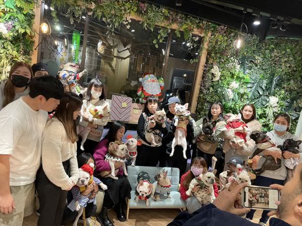 森林小徑大墩店对宠物超友善