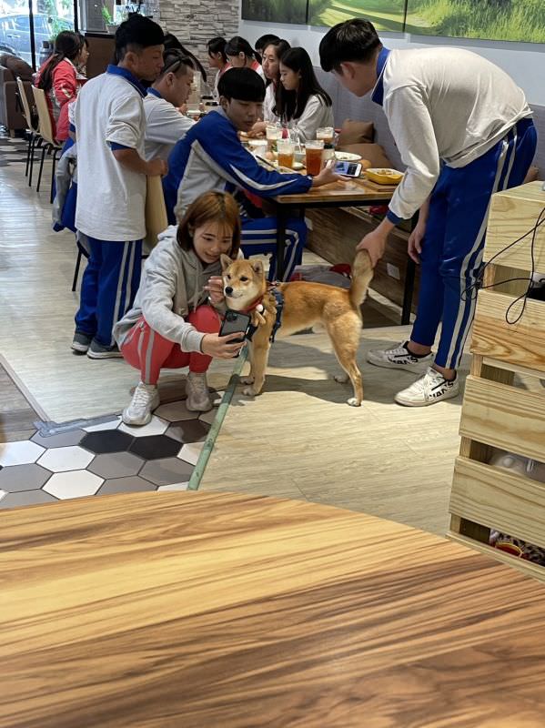 森林小徑大墩店对宠物超友善