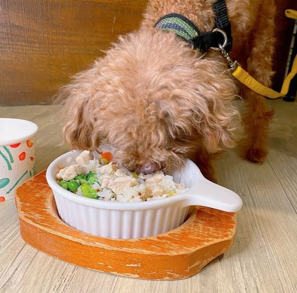 森林小徑大墩店对宠物超友善